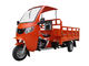 البرتقال 200cc 250cc ثلاثة ويلر / دراجة ثلاثية العجلات البضائع مع سقف البضائع